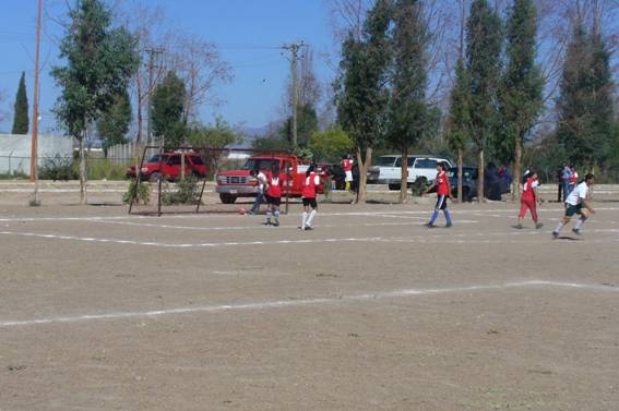 Descripción: F:\DCIM\113_PANA\P1130530.JPG